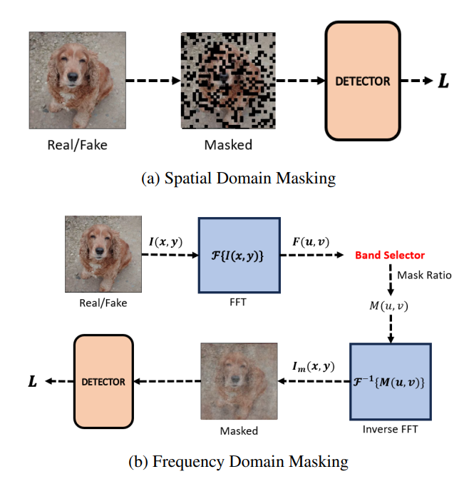 Frequency Masking for Universal DeepFake Detection